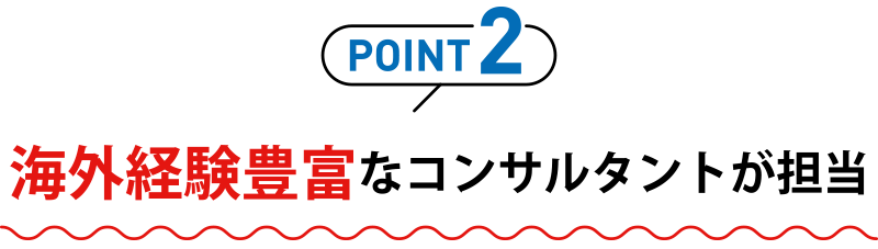 海外経験豊富なコンサルタントが担当